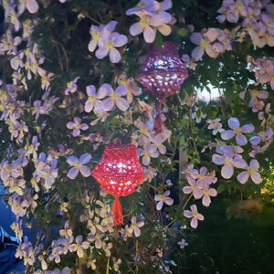 Lampion Inspiratie en Meer 3